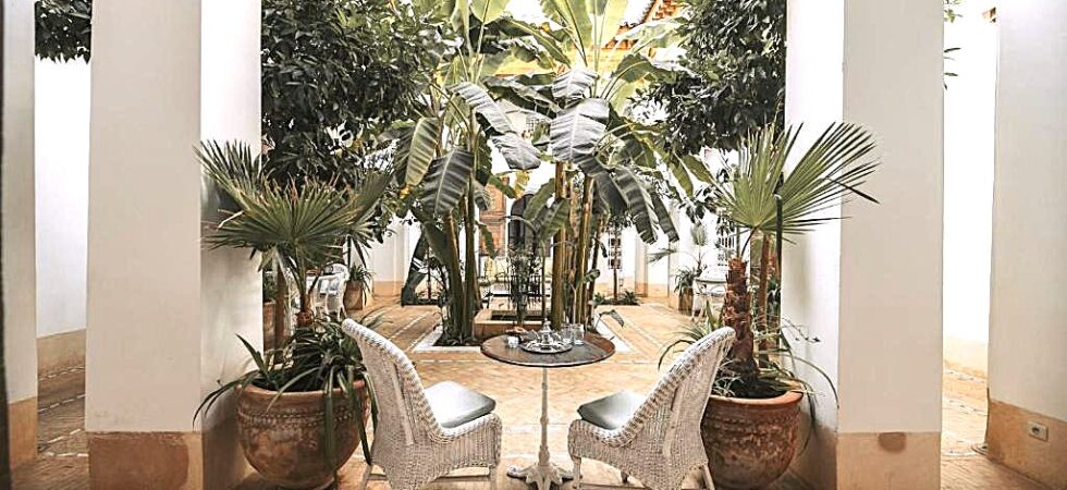Somptueux riad du 18 siècles, deux patios, une magnifique douiria et ses boiseries anciennes, un spa et une superbe terrasse