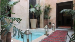 Magnificent riad. Charming, refined, a few pats from the Bahia Palace