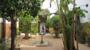 Authentic, real riad, life around the superb garden. Excellent neighborhood, parking nearby