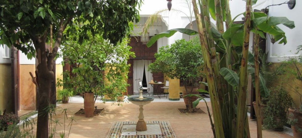 Authentic, real riad, life around the superb garden. Excellent neighborhood, parking nearby