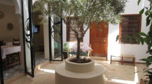 Charming riad in the heart of the medina with car access practice