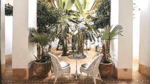 Sumptuous riad of 18 centuries, two patios, a magnificent douiria and its old woodwork, a spa and a superb terrace