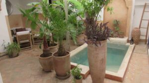 Authentic riad, a haven of peace in the heart of the medina